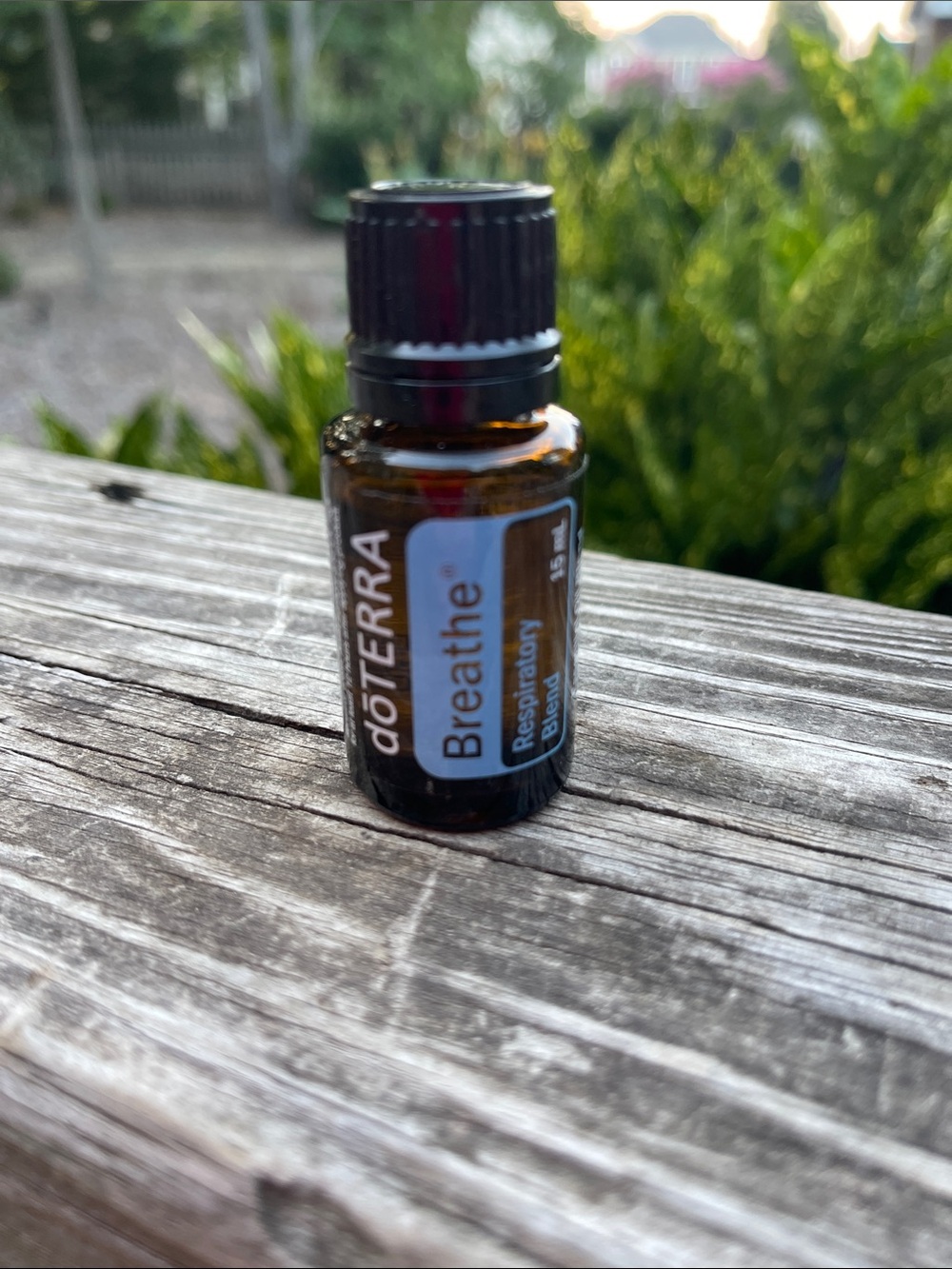 DoTerra Breathe essential oil